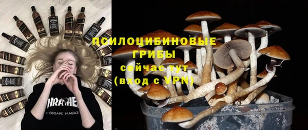 стафф Алзамай
