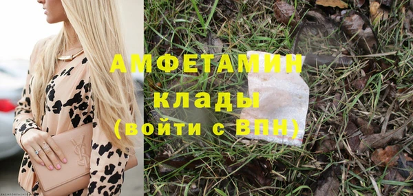 стафф Алзамай