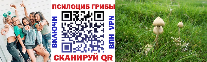 Галлюциногенные грибы GOLDEN TEACHER  Саянск 